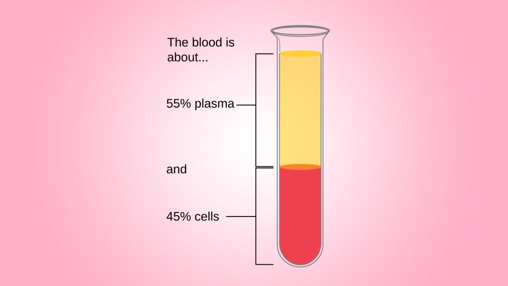 diagram showing the composition of blood