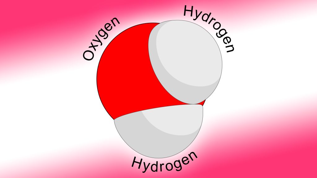 water molecule with component atoms labeled