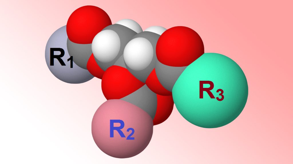 3D model of a triglyceride molecule